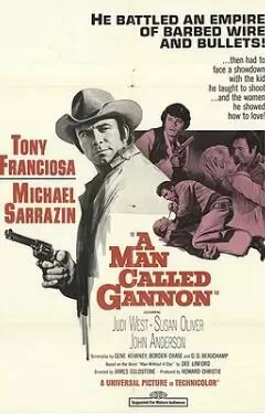 原野独行侠海报