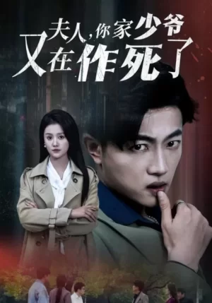 夫人你家少爷又在作死了海报