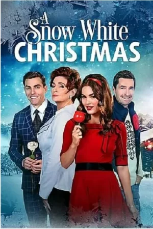 雪白的圣诞节海报