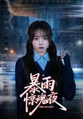 暴雨惊魂夜海报