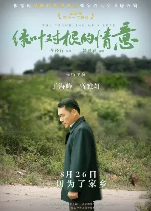 绿叶对根的情意海报