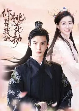 你是我的桃花劫海报