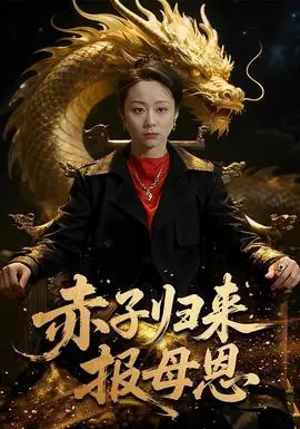 赤子归来报母恩海报