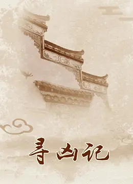 寻凶记海报