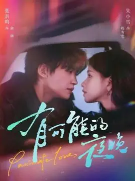 有可能的夜晚海报