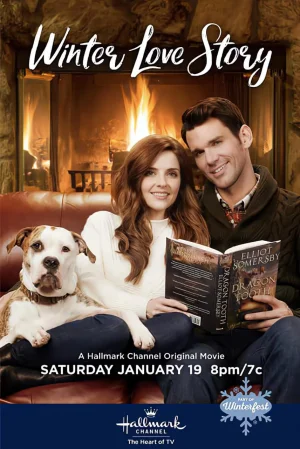 冬日爱情故事海报