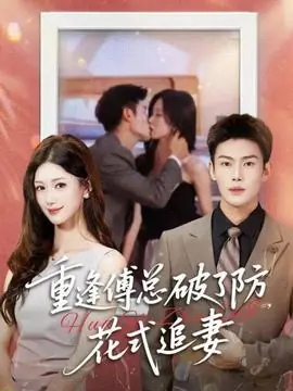 重逢傅总破了防,花式追妻海报