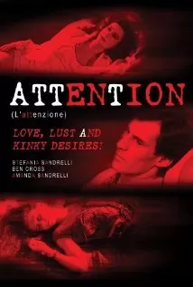 禁忌的冲动海报