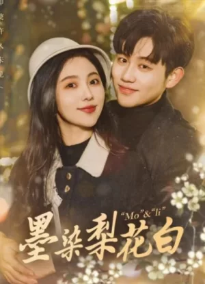 墨染梨花白海报