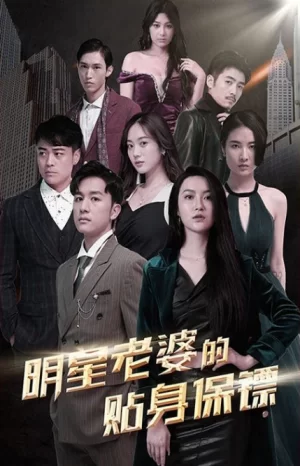 明星老婆的贴身保镖海报