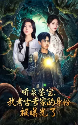 听泉鉴宝,我考古专家的身份被曝光了海报