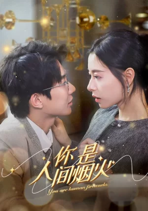 你是人间烟火海报