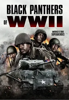 二战黑豹[电影解说]海报