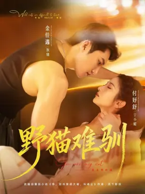 野猫难驯海报