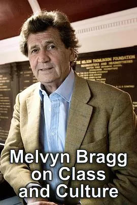 阶级与文化海报