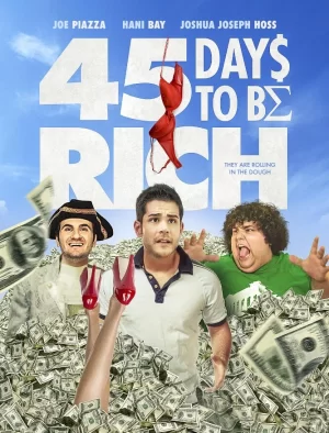 45天致富海报