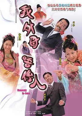 非常岳母(国语)海报