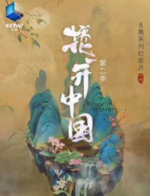 花开中国第二季海报