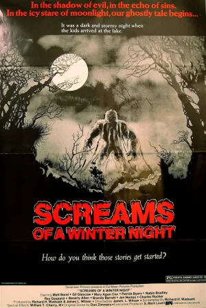 冬夜尖叫海报