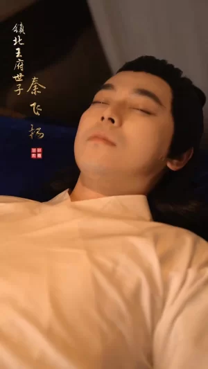 至尊驸马爷海报