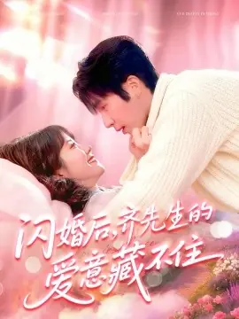 闪婚后,齐先生的爱意藏不住海报