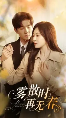 雾散时再无春海报