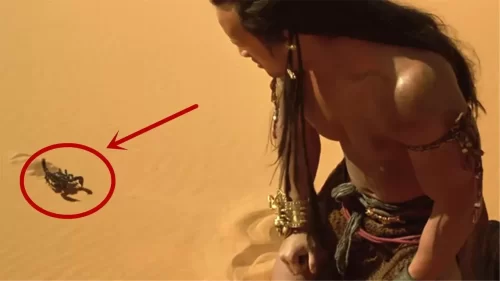 国王战败在沙漠走投无路,吃了一只大黑蝎子后获得神力,变成了法力无边的蝎子王!海报