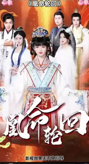 凰命轮回海报