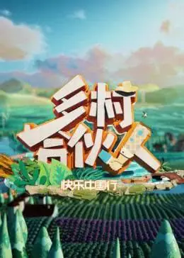 乡村合伙人海报
