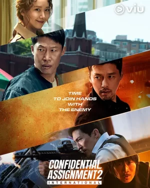 共助2:国际[影视解说]海报