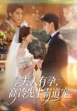 夫人有孕,高冷先生霸道宠海报