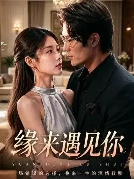 缘来遇见你海报