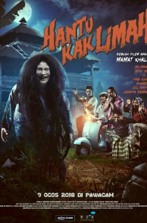 丽玛姐的鬼魂海报