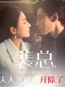 裴总夫人又被你开除了海报