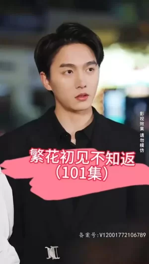 繁花初见不知返海报