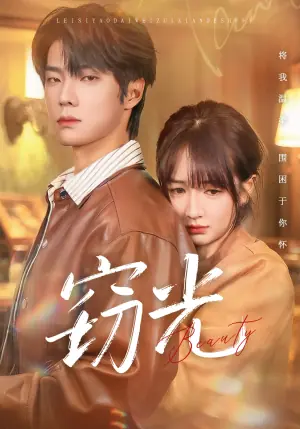 窃光海报