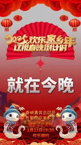 辽视春晚倒计时欢乐家乡年2025海报