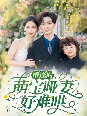 重逢时萌宝哑妻好难哄海报
