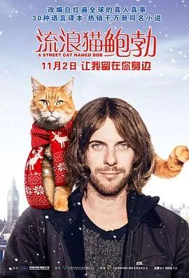 流浪猫鲍勃AStreetCatNamedBob[电影解说]海报