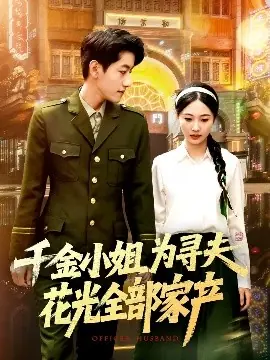 千金小姐为寻夫花光全部家产海报