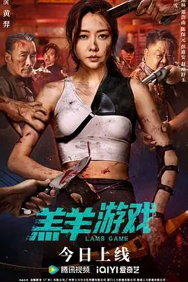 羔羊游戏(粤语)海报