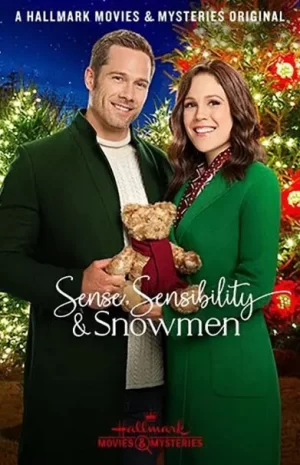 理智,感性和雪人海报