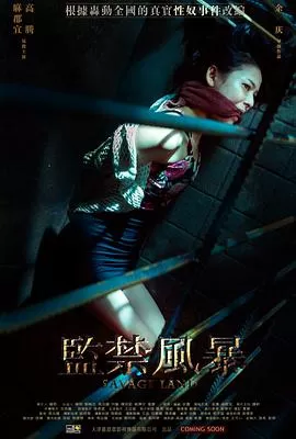 监禁风暴[影视解说]海报
