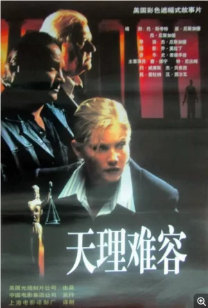 天理难容海报