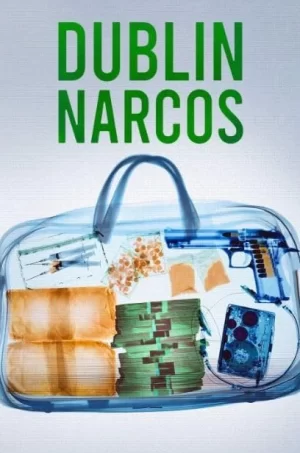 都柏林毒枭海报
