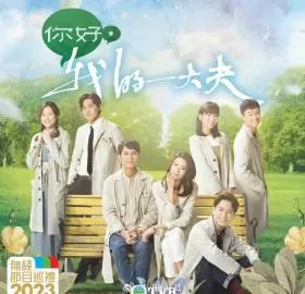 你好,我的大夫(国语)海报