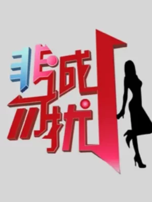 非诚勿扰2024海报