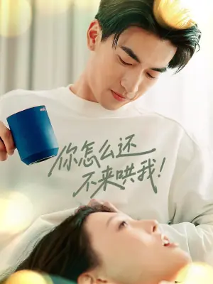 你怎么还不来哄我!海报