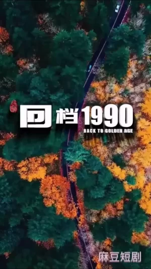 回档1990合集版海报