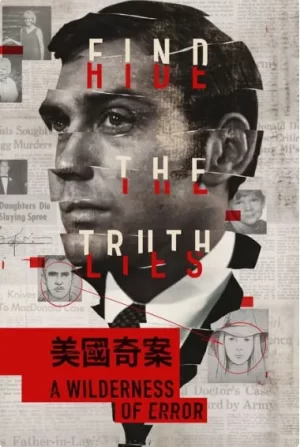 奇案透视镜海报